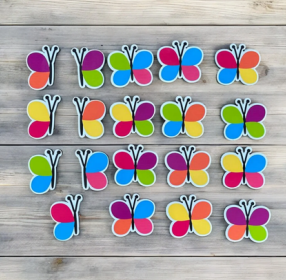 Butterfly Matching - Visual Discrimination